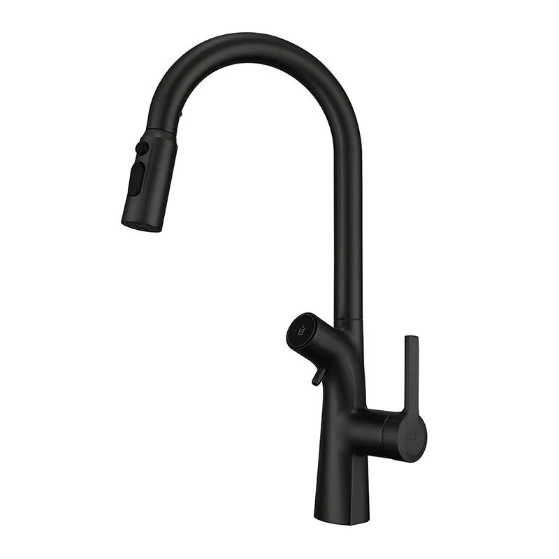 Vgx Gold Water Filter Faucet Dual Spout Pure