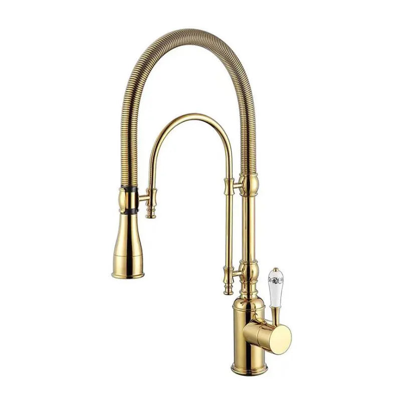 Faucet Pull Out 360 Degree Multi-Function Spring Pull