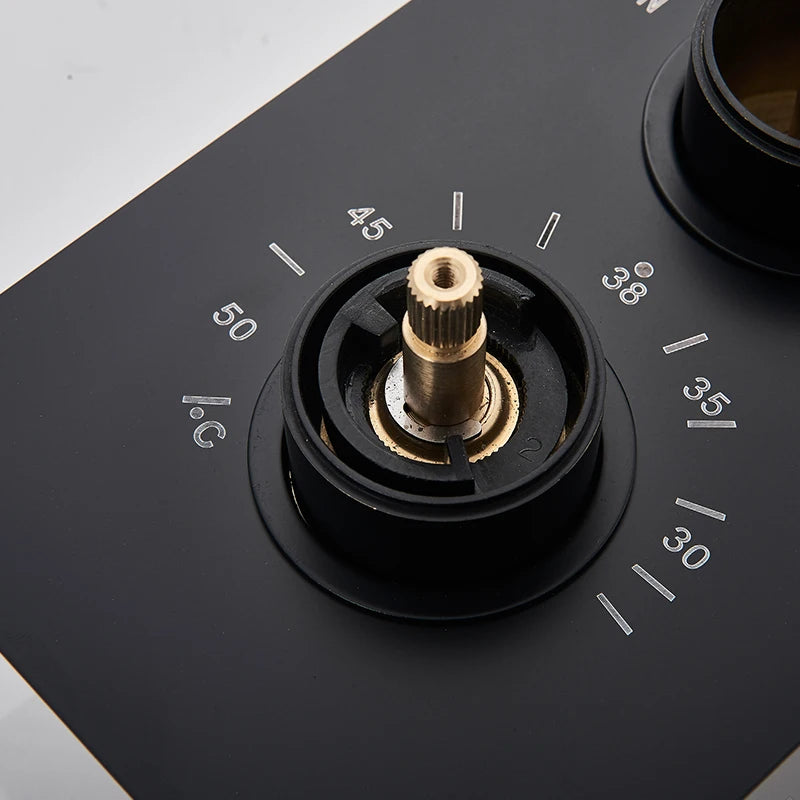 Rozin Matte Black Thermostatic Shower Faucet Wall Mount