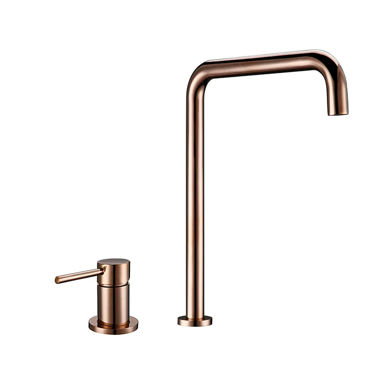 Modern Style Bathroom Basin Mixer Tap Dual Holder