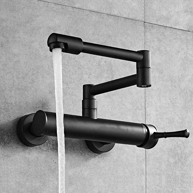 Samoel Brass Black Wall Mounted Dual Hole Foldable