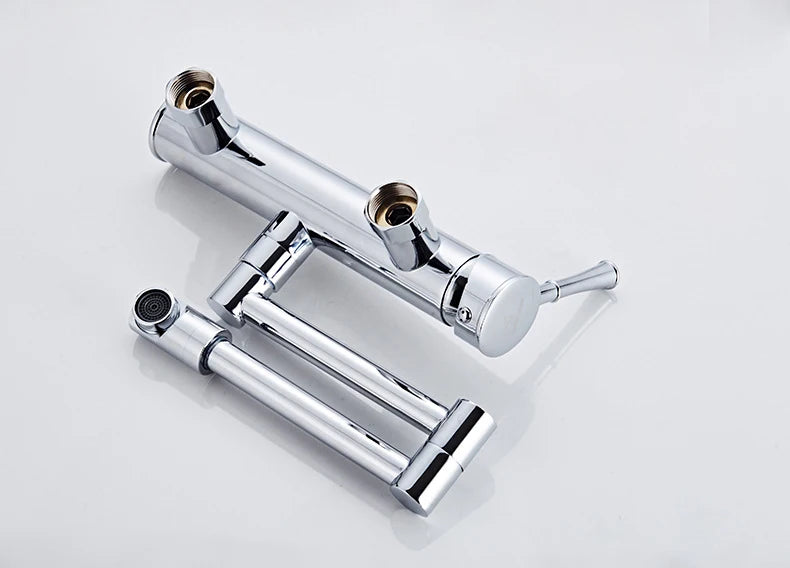 Samoel Brass Black Wall Mounted Dual Hole Foldable
