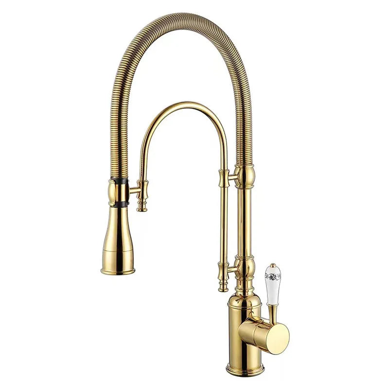 Faucet Pull Out 360 Degree Multi-Function Spring Pull
