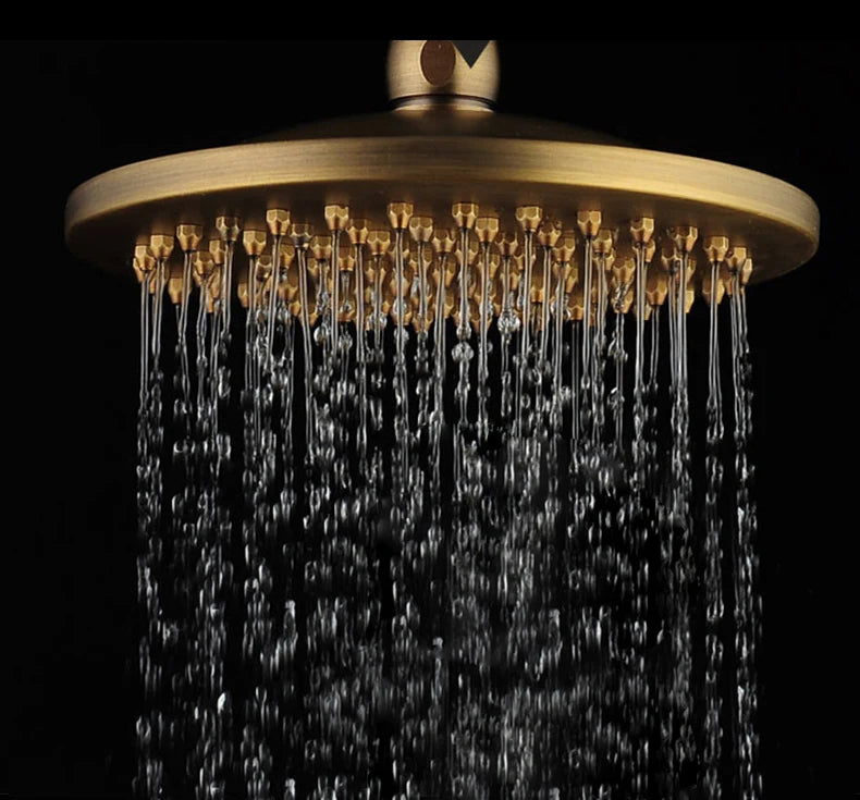 Rain Shower Bidet Spray Faucet Antique Bronze Finished