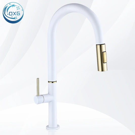 Oxg 304 Stainless Steel Lead-Free Faucet Pull-Out Sprayer