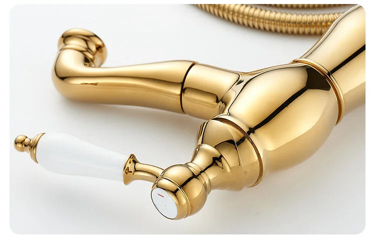 Gold Bathroom Ceramic Handle Basin Faucets Pull Out