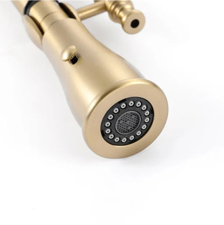 Faucet Pull Out 360 Degree Multi-Function Spring Pull