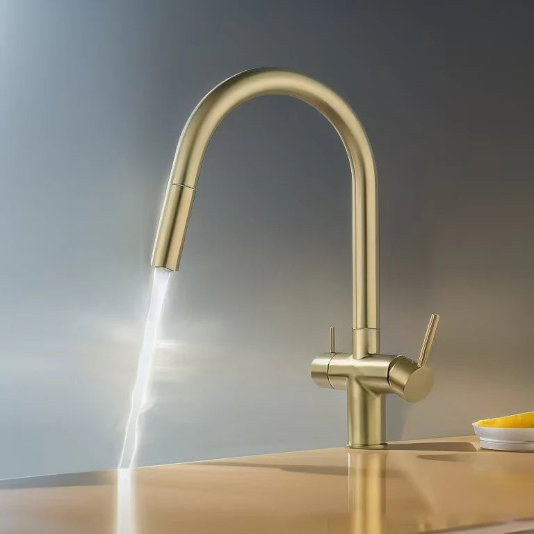 Brushed Nickel Pull Out Filter Faucets Quality Brass