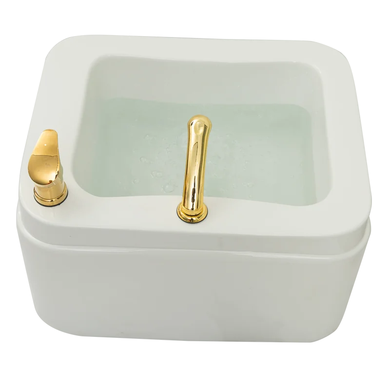 Beauty Salon Footbath Basin Aqua Therapy Sauna Bathtub