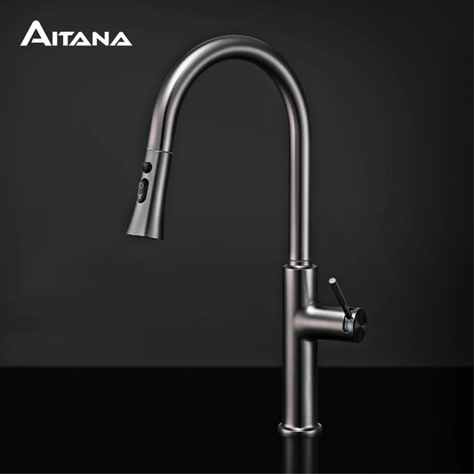 Aitana Pull Out Design Gun Grey Faucet Simple