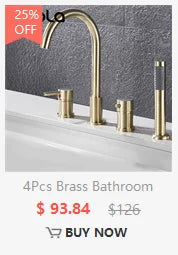 Ceiling Design Bathroom Bubbler & Cold Hang Faucet