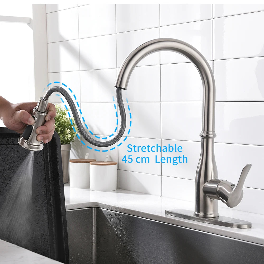 Brushed Nickel Faucets Handle Pull Out Tap Hole
