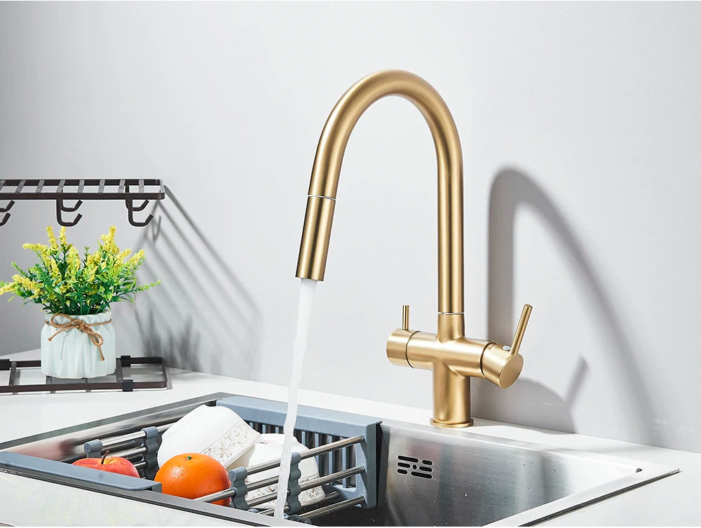 Brushed Gold Water Filter Faucet Dual Spout Pure