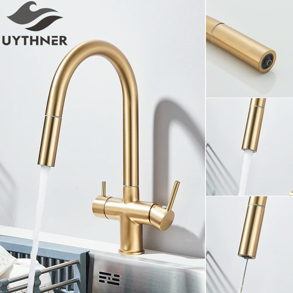 Brushed Gold Water Filter Faucet Dual Spout Pure