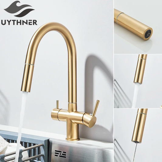 Brushed Gold Water Filter Faucet Dual Spout Pure