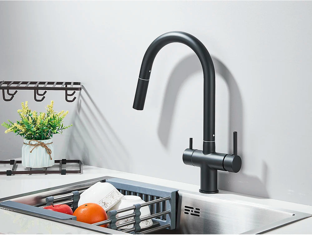Brushed Gold Water Filter Faucet Dual Spout Pure