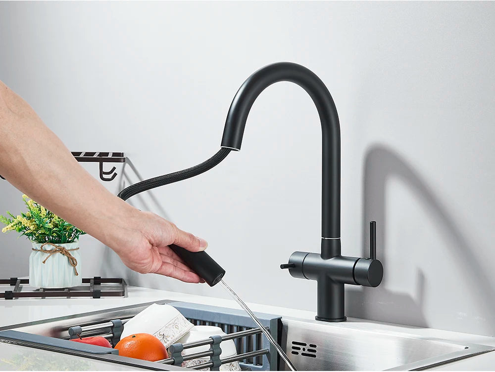Brushed Gold Water Filter Faucet Dual Spout Pure