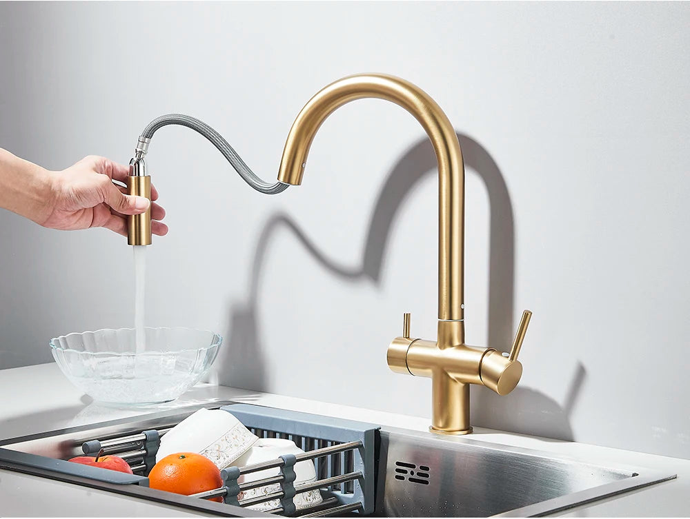 Brushed Gold Water Filter Faucet Dual Spout Pure