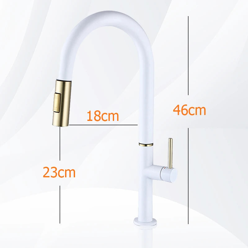 Oxg 304 Stainless Steel Lead-Free Faucet Pull-Out Sprayer
