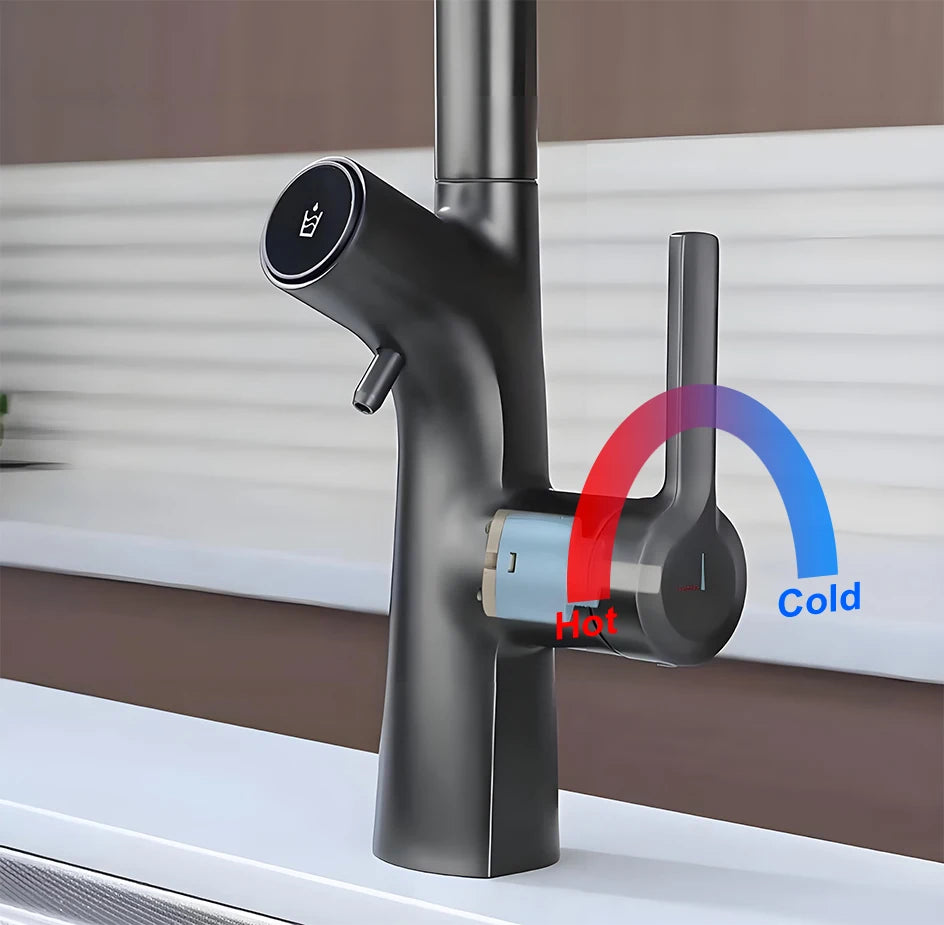 Vgx Gold Water Filter Faucet Dual Spout Pure