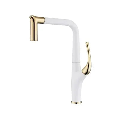 Faucet Pull Out Water Filter Tap Brass Crane