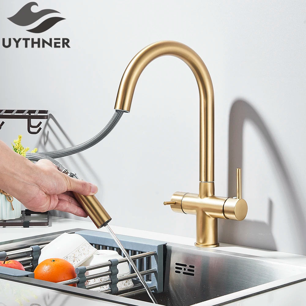 Brushed Gold Water Filter Faucet Dual Spout Pure