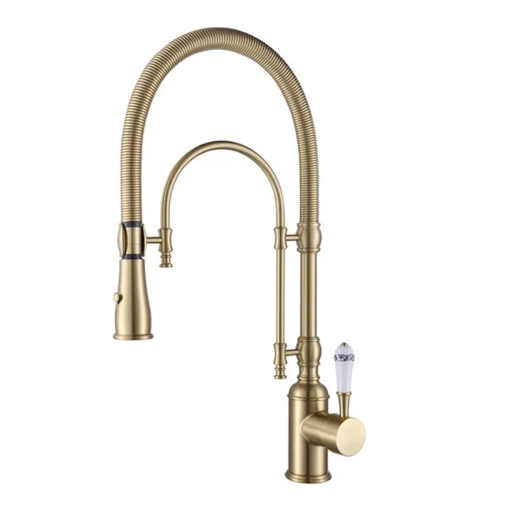 Faucet Pull Out 360 Degree Multi-Function Spring Pull