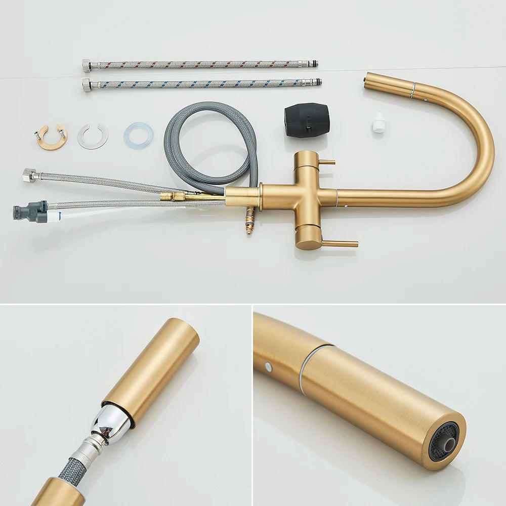Brushed Gold Water Filter Faucet Dual Spout Pure