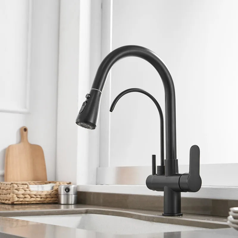 Brushed Nickel Pull Out Filter Faucets Quality Brass