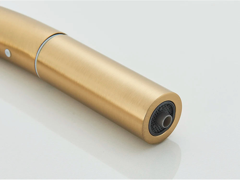 Brushed Gold Water Filter Faucet Dual Spout Pure