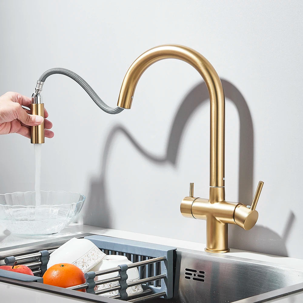 Brushed Gold Water Filter Faucet Dual Spout Pure
