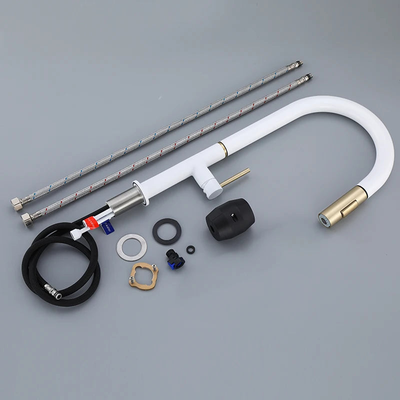 Oxg 304 Stainless Steel Lead-Free Faucet Pull-Out Sprayer