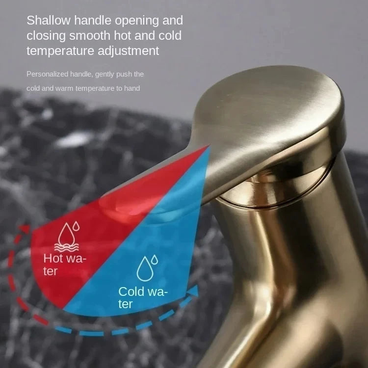 Cold Water Faucet Brass Valve Body Pull-Out Basin