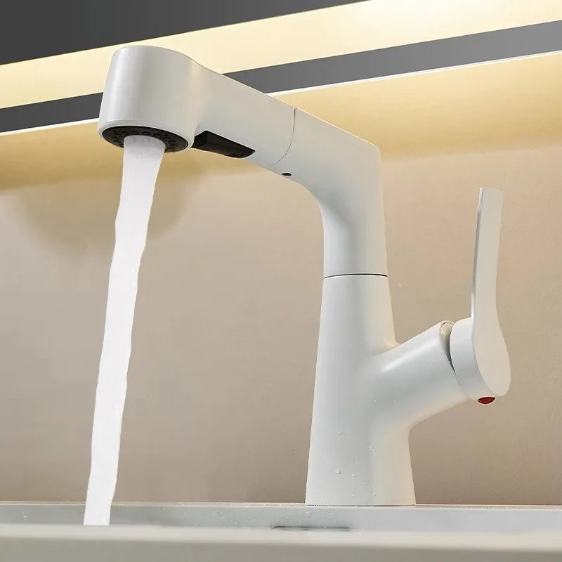 Bathroom Sink Faucet Pull Out Sprayer Handle Hole