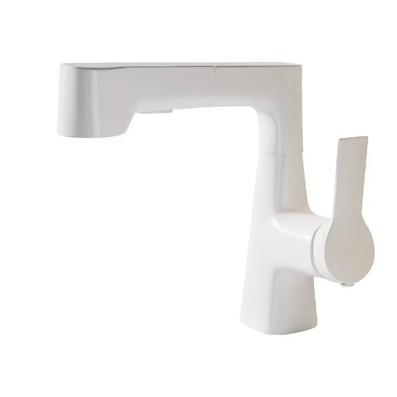 Bathroom Sink Faucet Pull Out Sprayer Handle Hole