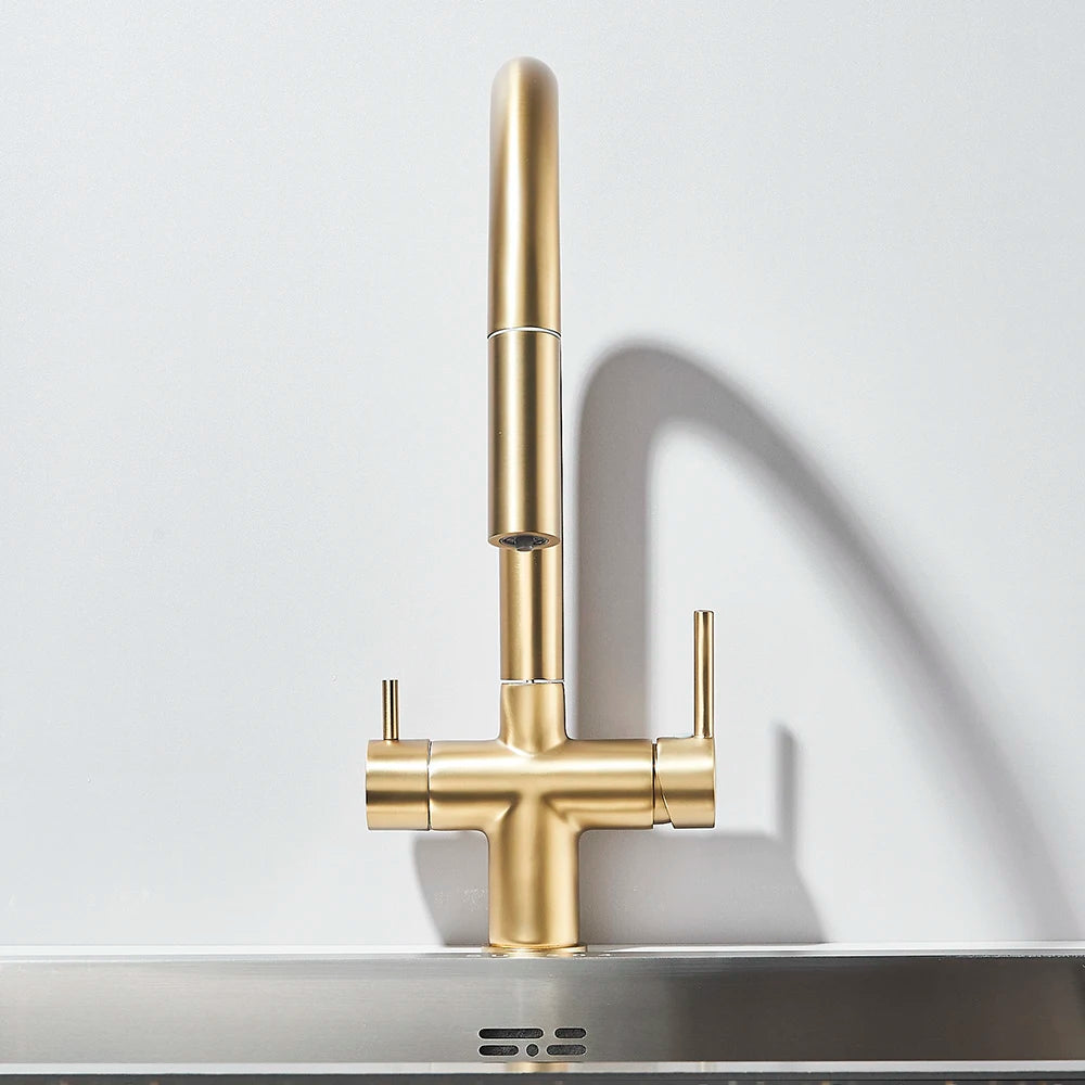 Brushed Gold Water Filter Faucet Dual Spout Pure