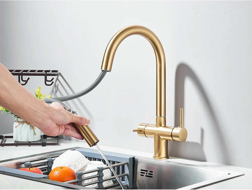 Brushed Gold Water Filter Faucet Dual Spout Pure