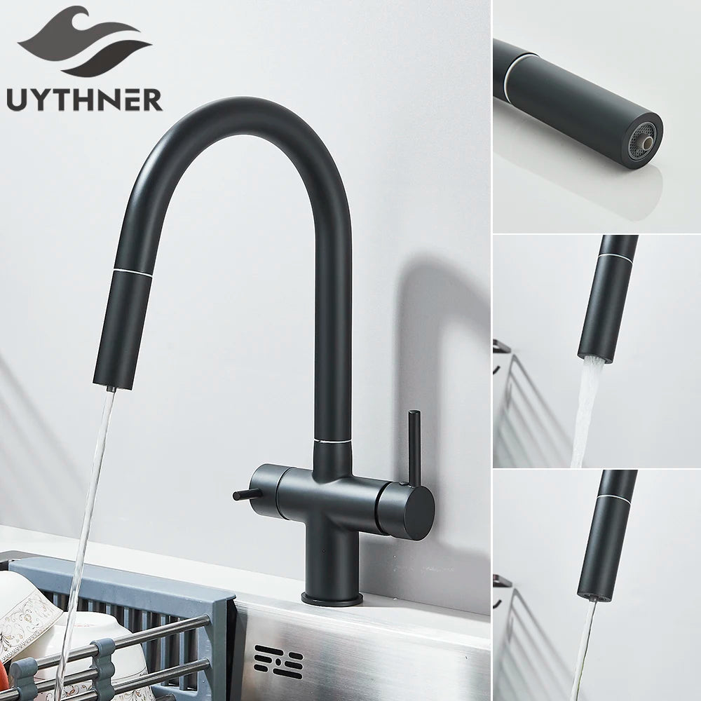 Brushed Gold Water Filter Faucet Dual Spout Pure